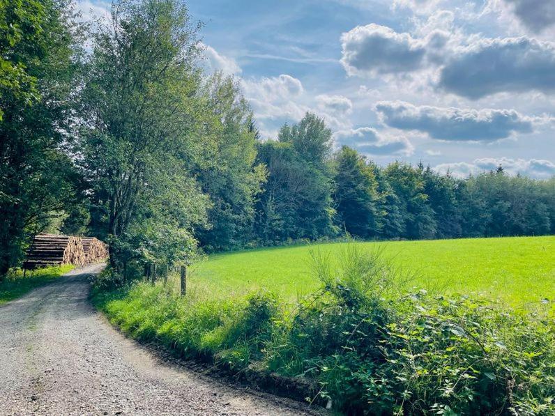 Landschaftstraeume Lägenhet Simmerath Exteriör bild