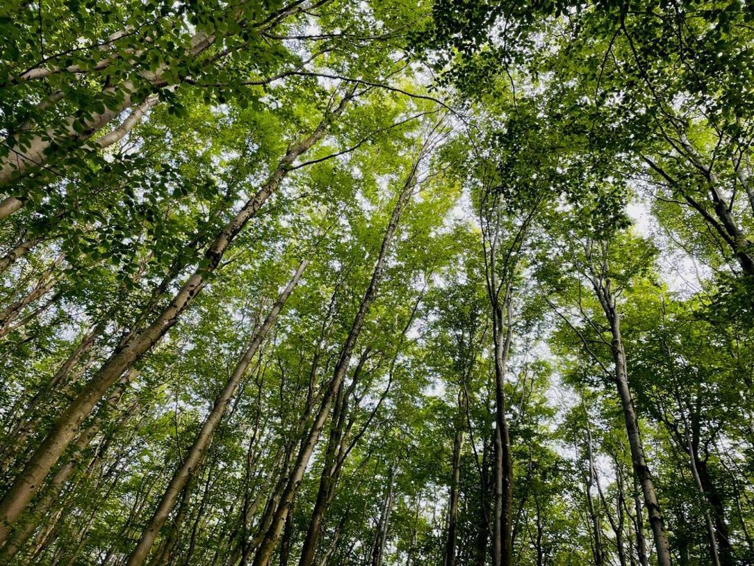 Landschaftstraeume Lägenhet Simmerath Exteriör bild