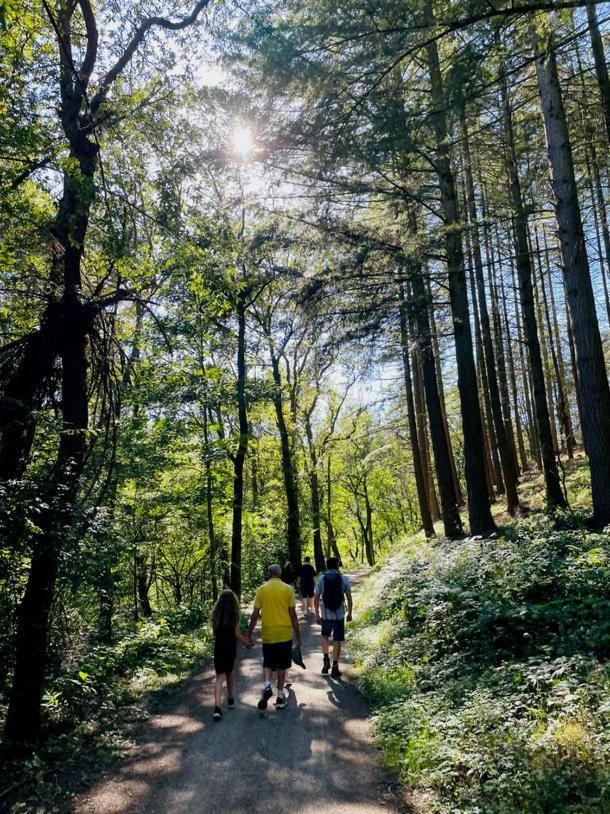 Landschaftstraeume Lägenhet Simmerath Exteriör bild